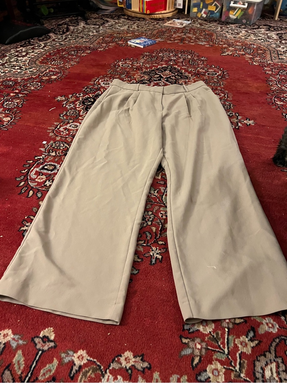 Abercrombie & Fitch Curve Love Sloane Khaki Pants 34L